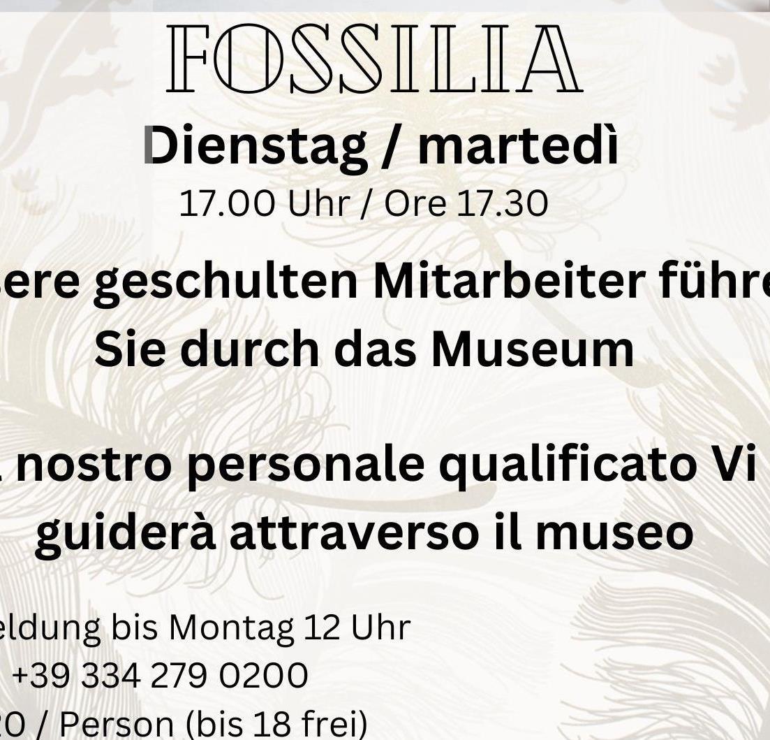 Foto per Fossilia - Visita guidata al museo